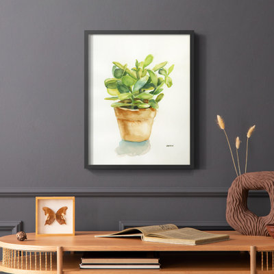 Succulent I Framed Print - Solid Wood