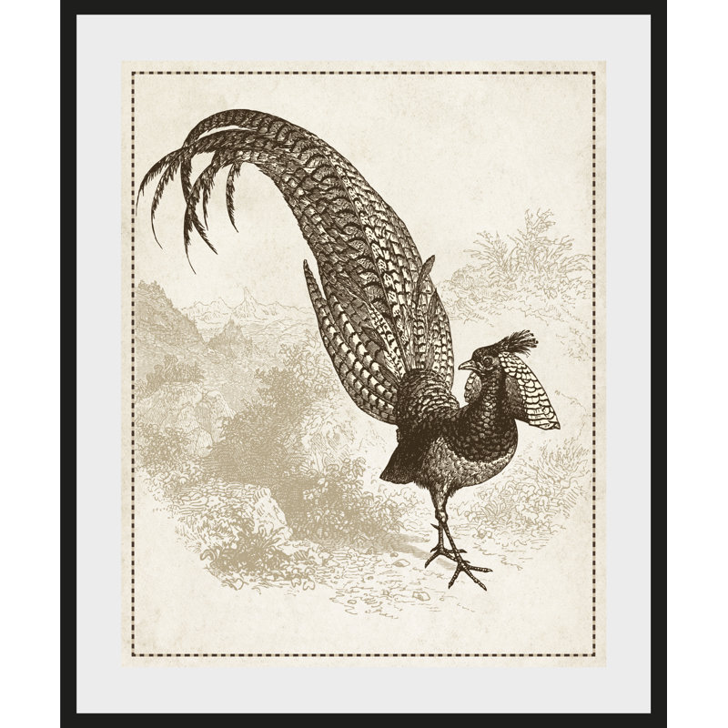 Bird - Single Picture Frame Print, 50 cm H x 60 cm W