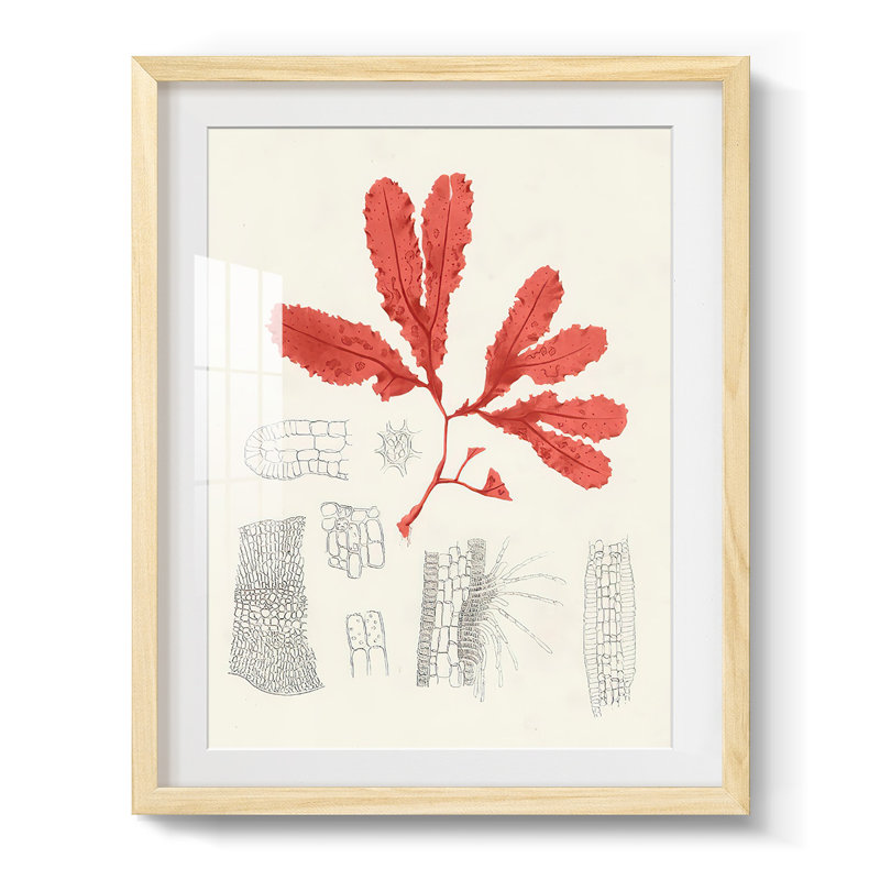 Marcher dans les jardins de Waddesdon - Toile tendue avec châssis, Naturel, H 28,5 po x l 20,5 po