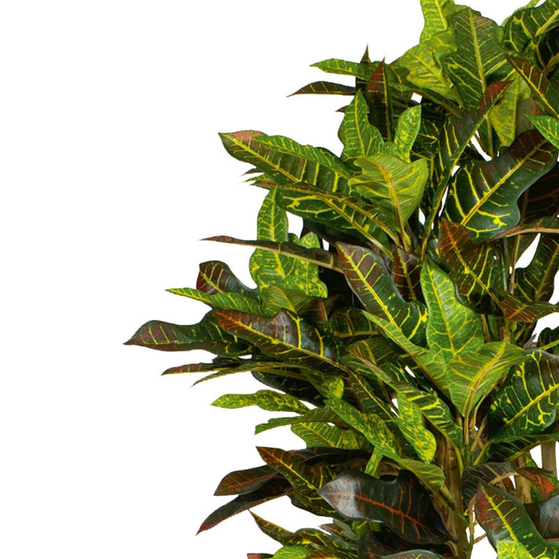 Annistyn 150cm Faux Croton Tree in Pot