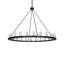 24 - Light Chandelier