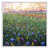 White Floater Framed Canvas