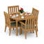 Caranas Outdoor 5 - Piece Teak Dining Set