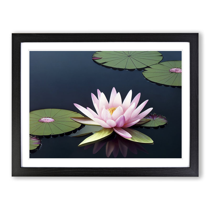 A Luscious Water Lily Flower - Framed Print, Black Framed, 34cm H x 46cm W x 2cm D