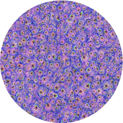 Floral Indoor Rug