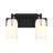 Irela 4-Light Vanity Light in Black-285041195-302682951-285041196