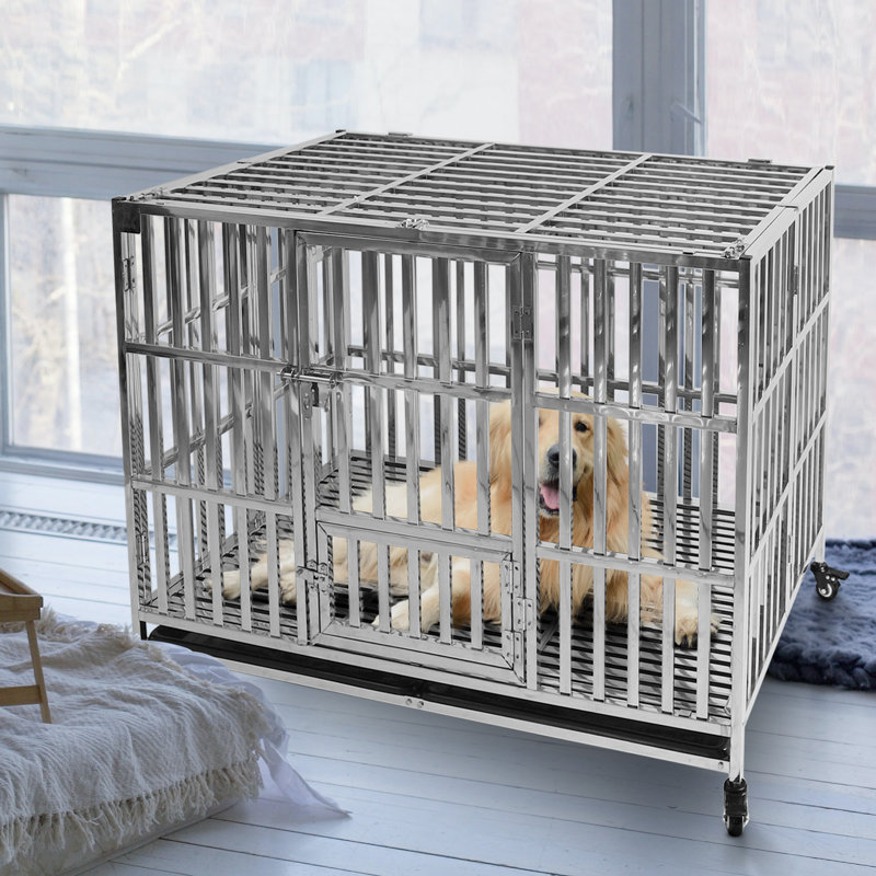 Cage pour chien en acier inoxydable Fasano, H 31 po x l 48 po x P 31 po