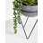 36cm Faux Succulent Plant in Stone Planter