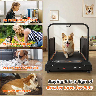 Petit tapis roulant pour chien Édition 2026 - Appareil d'exercice pour animaux de compagnie à faible bruit et de grande valeur pour la formation de chiots d'intérieur, roue portative