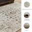 Tapis bavarois-998022109