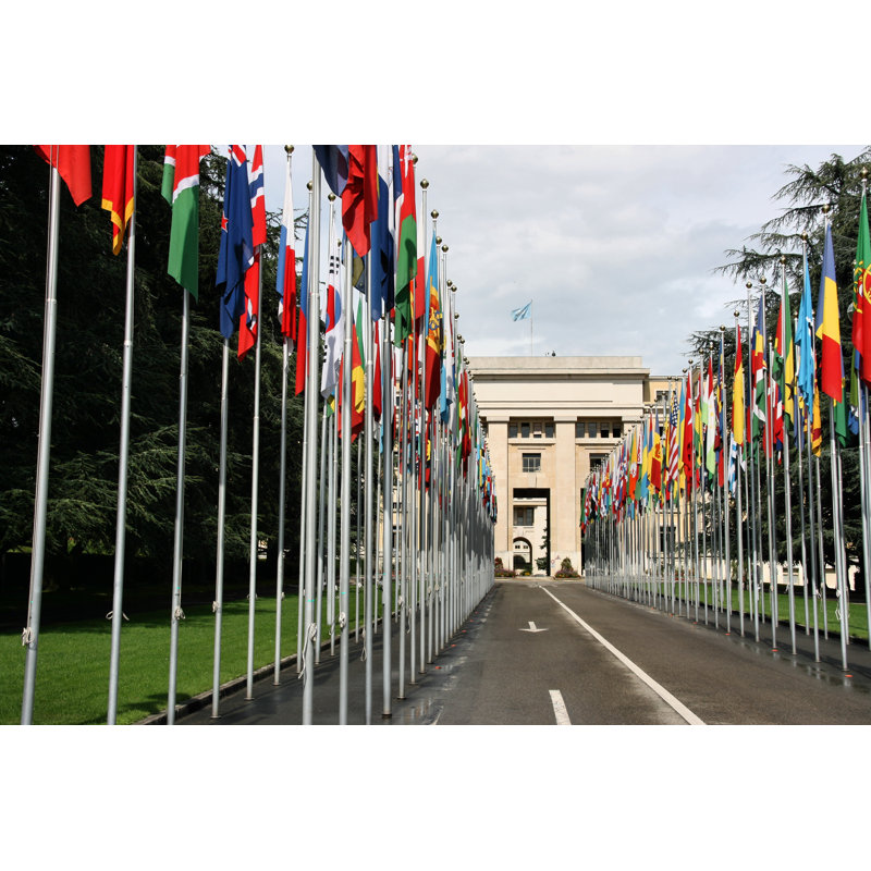 United Nations, Geneva by Tupungato - Wrapped Canvas Print, 81cm H x 122cm W
