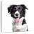 Brampt Border Collie Tongue Out-109373330