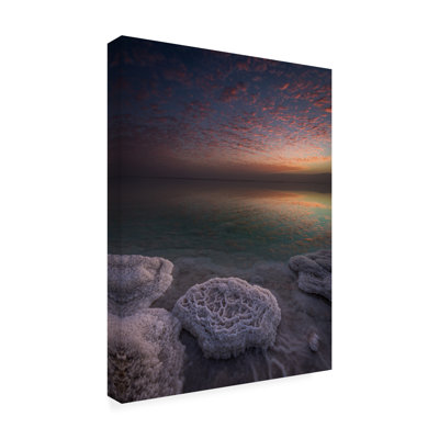 Haim Rosenfeld  Genesis Canvas Art