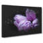 Four Purple Tulips - Wrapped Canvas Print-56666290