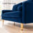 Moniet 66.9 " Velvet Loveseat-1346210747