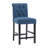 Burlison 25.25" Counter Stool-1905011890