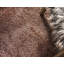 Tapis brun Paramount-40285833