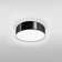 2 Light Flush Ceiling Light