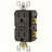 Leviton SmartlockPro 15 Amp 125 Volt Duplex Brown GFCI Outlet 5-15R 1 Pack