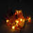 Ashelly Indoor 50 - Bulb 295'' Solar Powered LED Novelty String Light