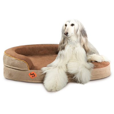 Lit pour chien ovale en mousse à mémoire de forme Tucker Murphy Pet ™, avec doublure imperméable et housse lavable amovible