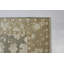 Oriental Area Rug in Light Green