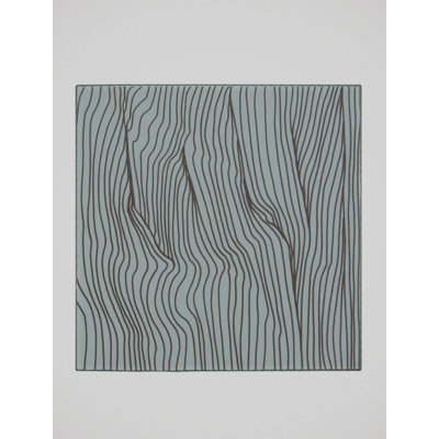 Indoor Rug