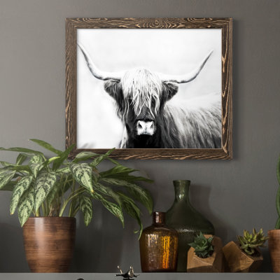 " Highland Longhorn "