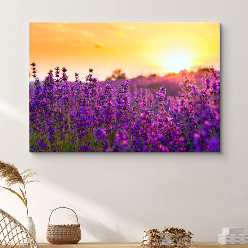 «Flower Blossom», «Lavender Flower Field At Sunset Floral Plants Photographie Modern Art Rustic» sur toile, H 16 po x l 24 po