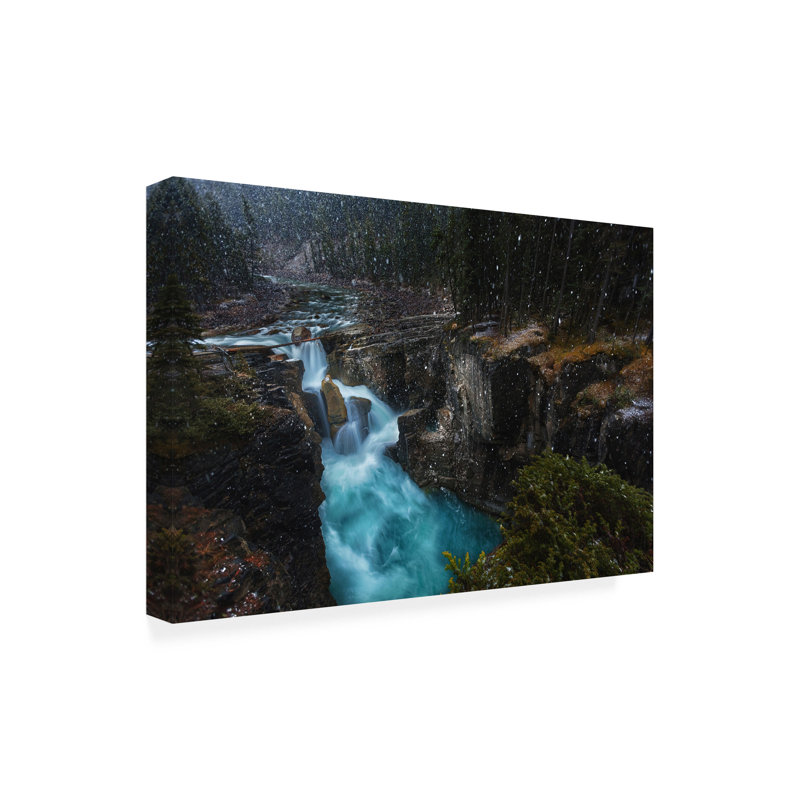 Art sur toile Jerrywangqian Surprise, H 12 po x l 19 po