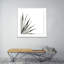 Agave II Print by Jess Engle-48615487-48615491