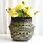 Panier en ruppie maritime