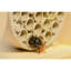 Free Standing Bumblebee House