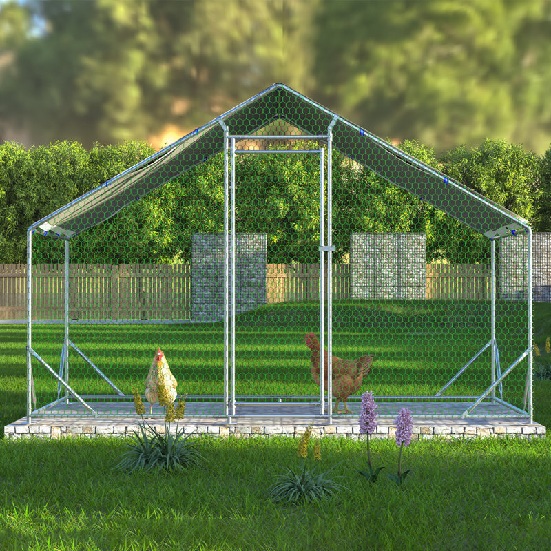 Cage à poules en métal Crellen, H 79 po x l 119 po x P 79 po