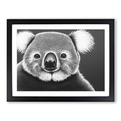Koala Bear - Single Picture Frame Print