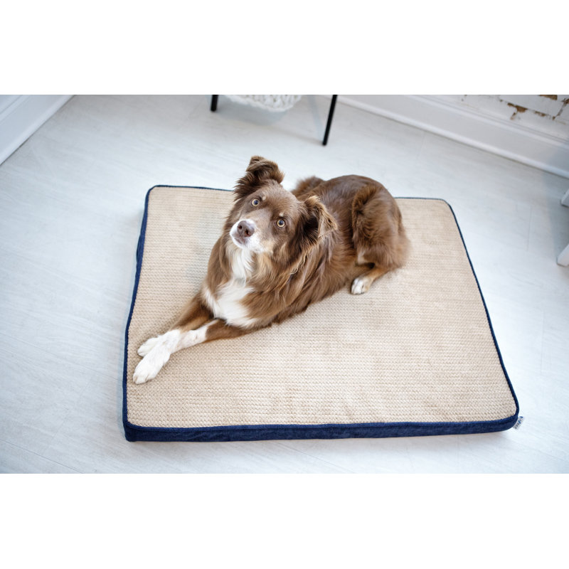 Lit orthopédique pour chien Petmate Bentley, 36 po x 28 po x 3 po, Bleu minuit