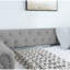 Lit de jour rembourré en velours Hittel-549473477