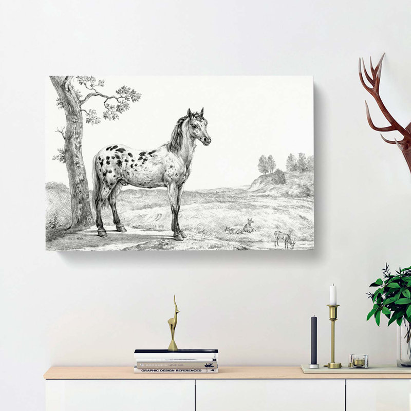 Mottled Horse by Jean Bernard - Wrapped Canvas Drawing - Wrapped Canvas, 35cm H x 50cm W x 3cm D