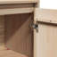 Glenise 60cm Solid Wood Sideboard-537135338