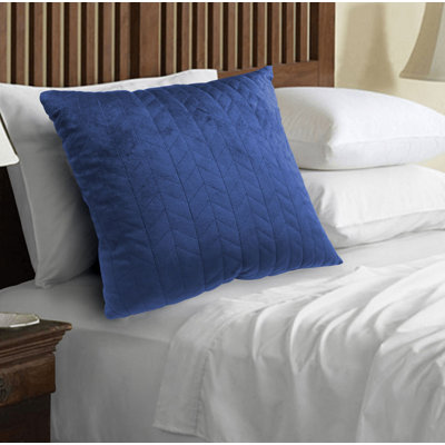 Huw Square Velvet Pillow Cover & Insert