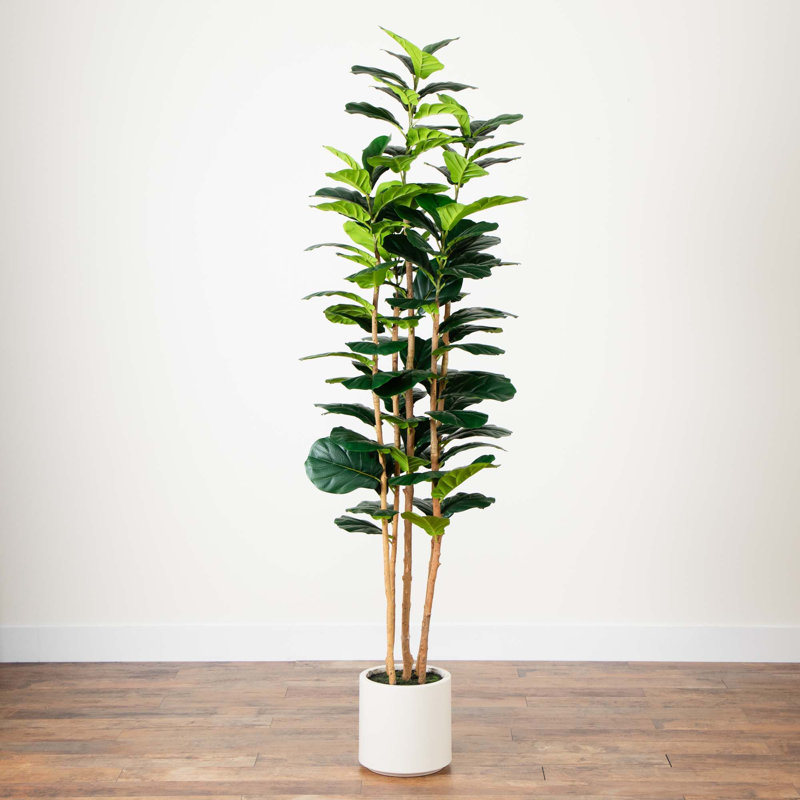 Artificial Fiddle Leaf Tree in Decorative White Planter, 84" H x 23" W x 23" D