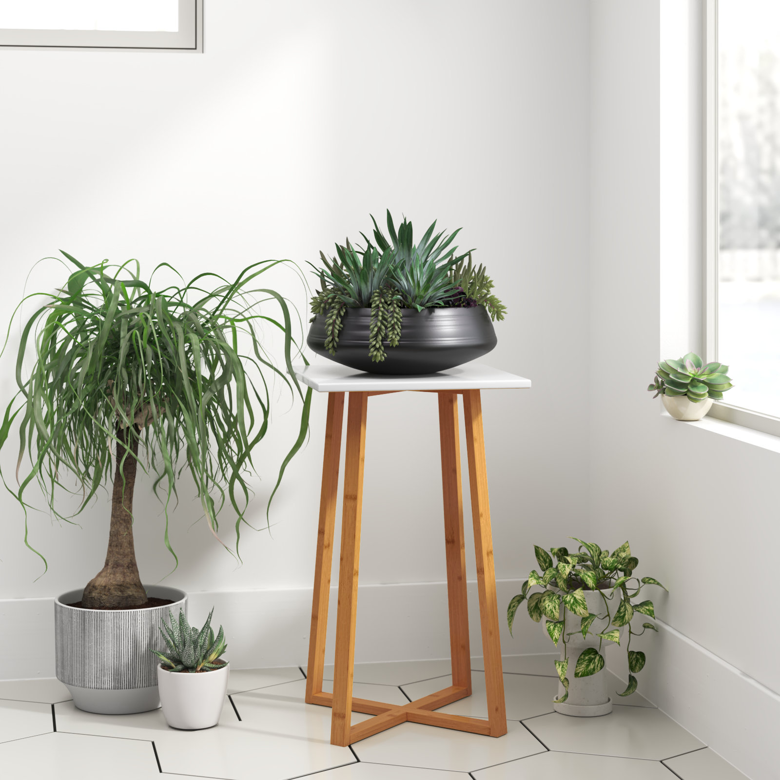 Wade Logan Alfie Thomas Plant Stand Reviews Wayfair