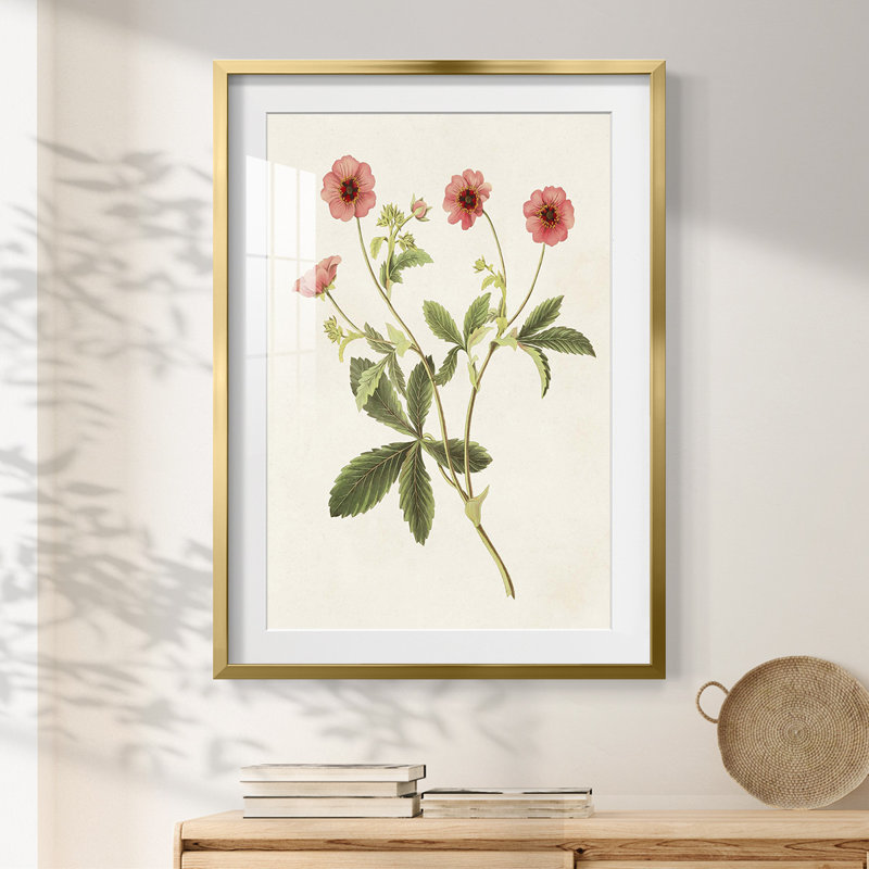 Clio -Gallery Wrapped Canvas