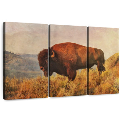 Brampt Wild Bison On The Field