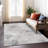 Machine Washable Indoor/Outdoor Claudian ACN1559 Taupe Rug-103498426