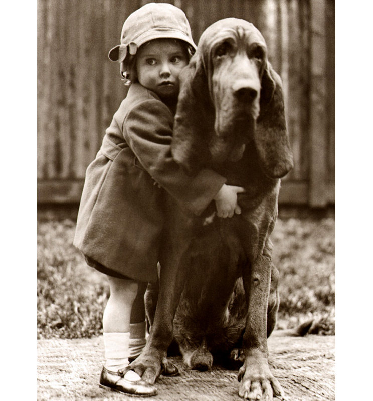 Girl's Best Friend, H 24 po x l 18 po