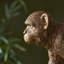 Bre Resin Novelty Lamp-91284553