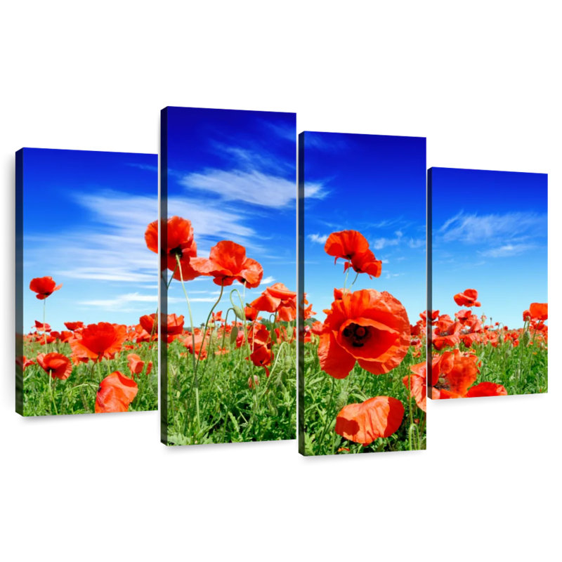 Coquelicots Harnek lors d'une journée ensoleillée, H 48 po x l 75 po