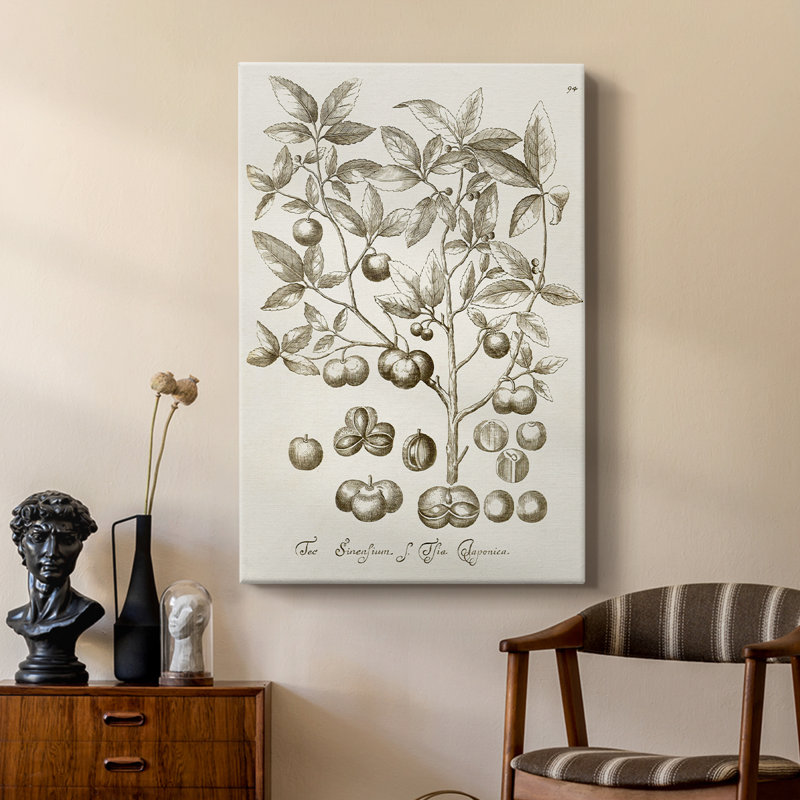 Sépia Botanical Journal II - galerie sur mesure Cavas, H 48 po x l 32 po