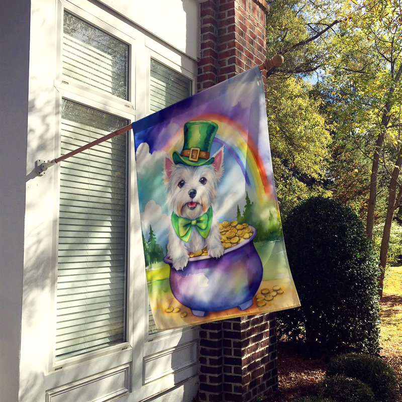 Drapeau double face en polyester H 40 po x l 28 po St Patrick's Day House